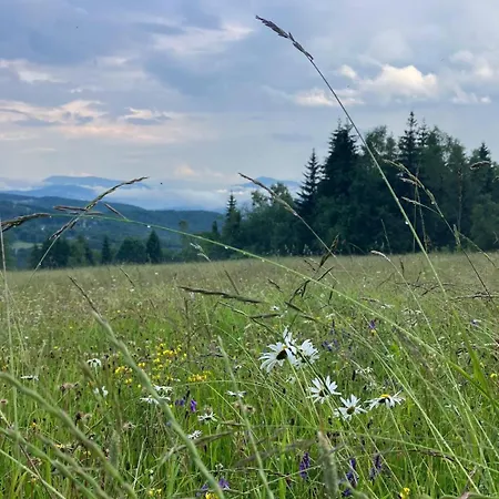 Drapula - - Na Wylacznosc Z Widokiem Na Gory I Aneksem Kuchennym Zawadka (Myslenice)
