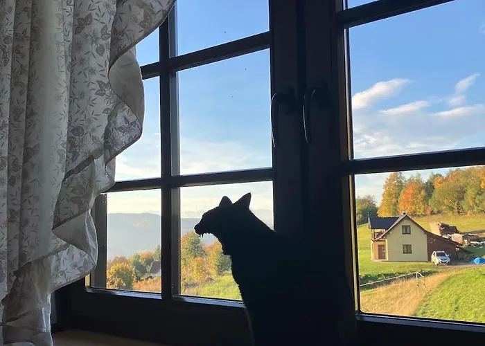 Drapula - - Na Wyłączność Z Widokiem Na Góry I Aneksem Kuchennym