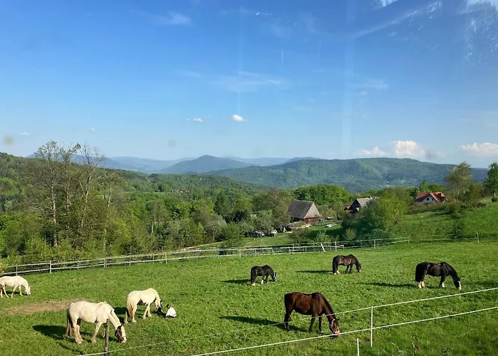 Drapula - - Na Wyłączność Z Widokiem Na Góry I Aneksem Kuchennym Gospodarstwo agroturystyczne